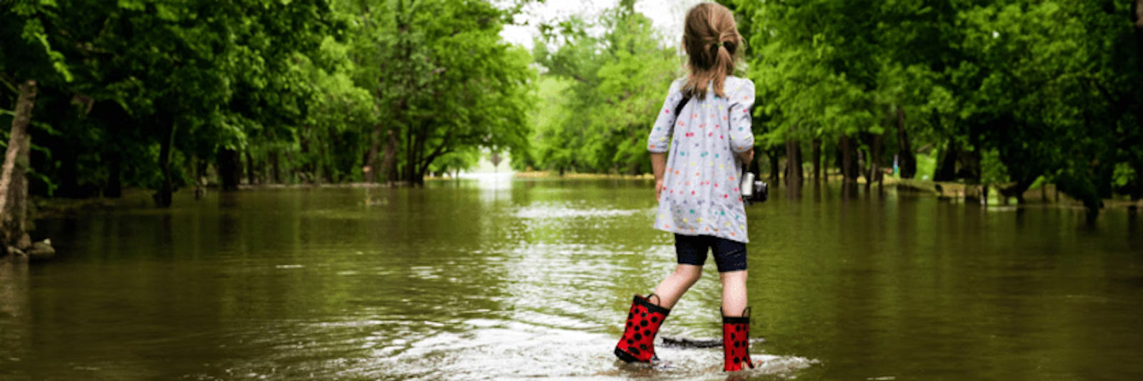 Så förbereder du dig för storm och oväder