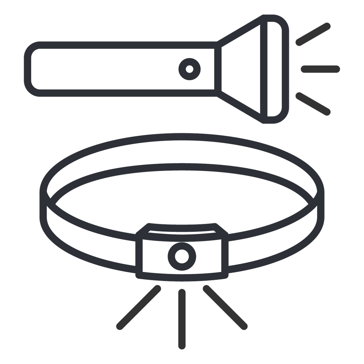 Ficklampor & pannlampor