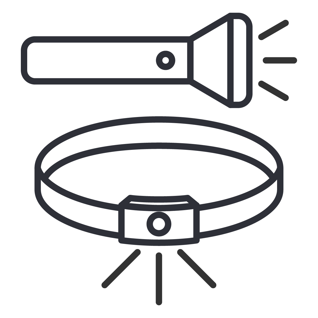 Ficklampor & pannlampor