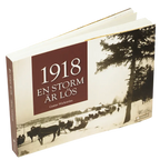 En storm är lös : Åbolands skärgård vårvintern 1918
