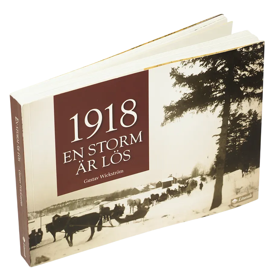 En storm är lös : Åbolands skärgård vårvintern 1918