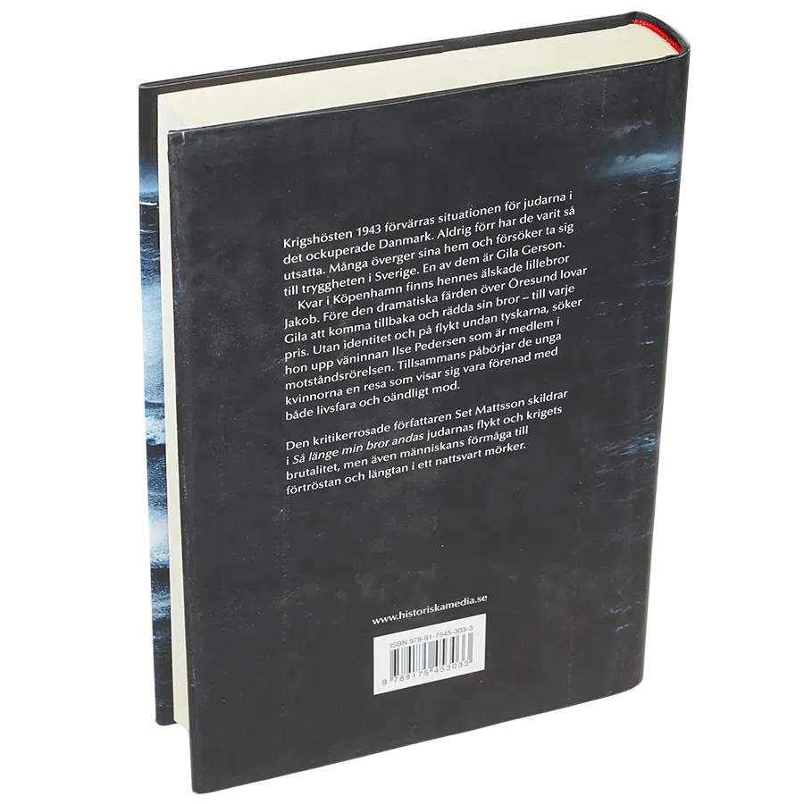 Så länge min bror andas (historisk roman/deckare/thriller)