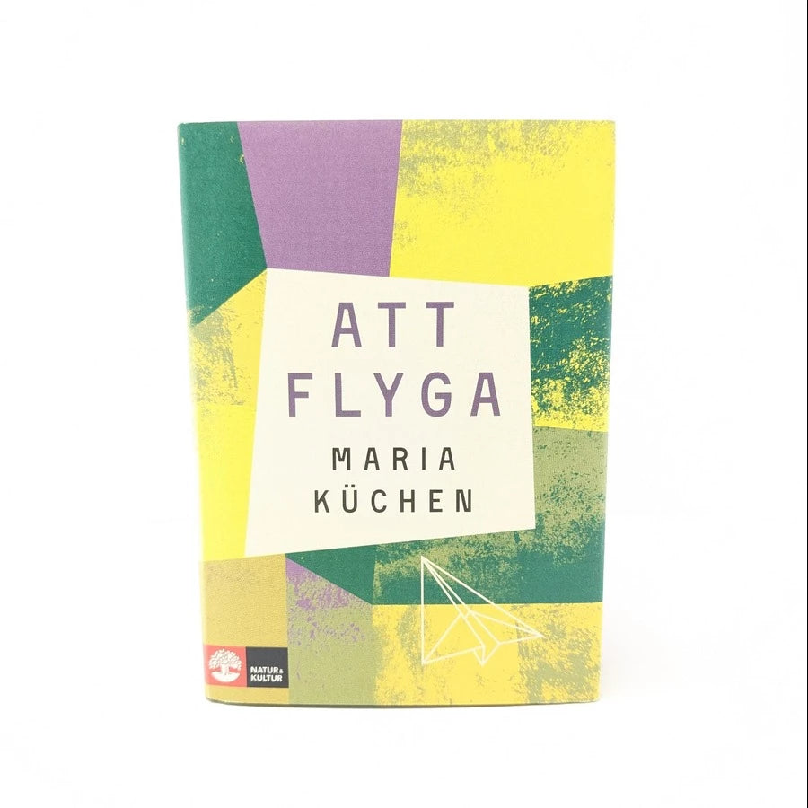 Att flyga. Upplev flygandets magi – Från fysik till filosofi